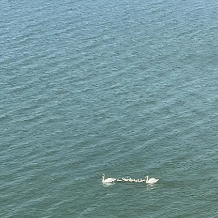 아파트 Lake Home *